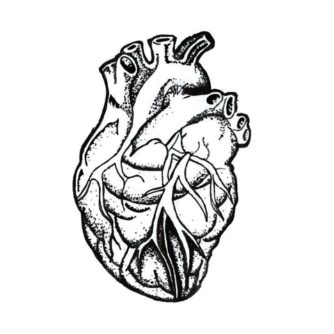 Coração Humano - 2 unid