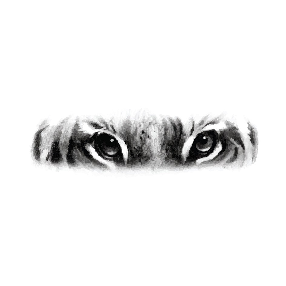 Olhos de Tigre - 2 unid