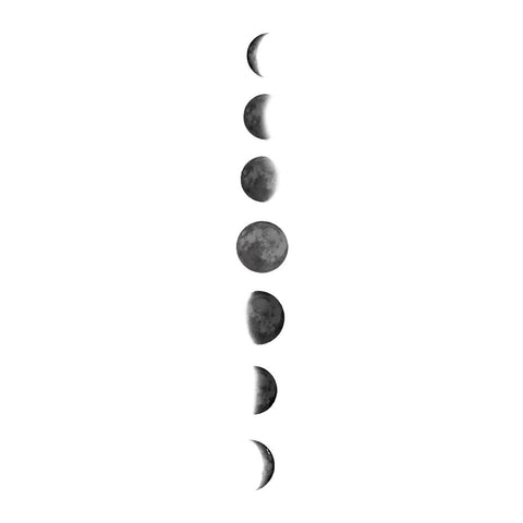 Fases da Lua - 2 unid